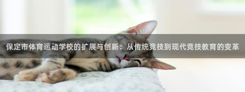 3377体育官方正版app新能源：保定市体育运动学校