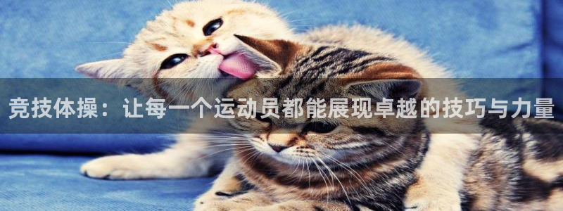 3377体育官方正版app集团logo：竞技体操：让