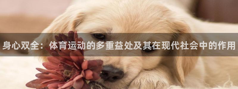 3377体育官方正版app集团官网网址：身心双全：体育运动的