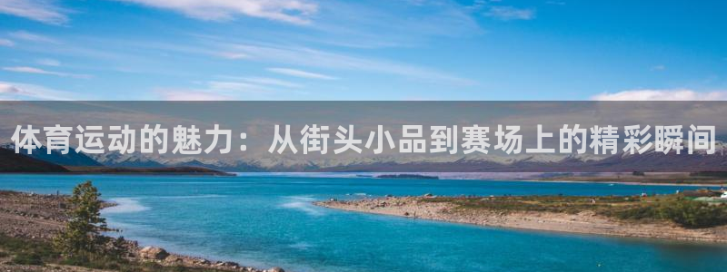 3377体育官网下载招商电话是多少：体育运动的魅力：