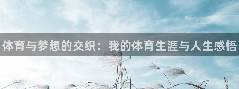 3377体育官方正版app五金厂：体育与梦想的交织：我的体育