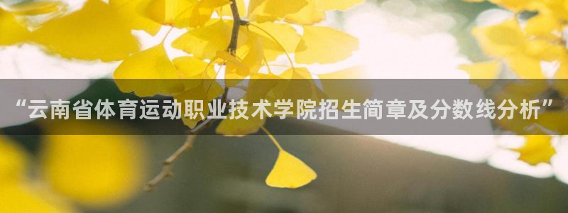 3377体育官网下载招商：“云南省体育运动职业技术学院招生简