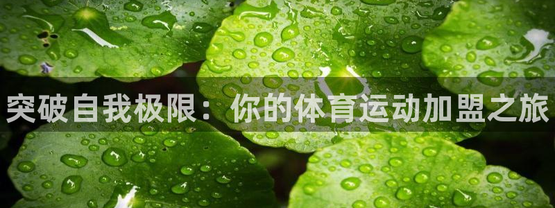 3377体育官网下载招商电话地址是多少：突破自我极限：你的体