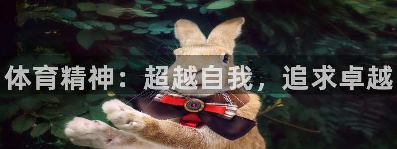 3377体育官网下载招商电话