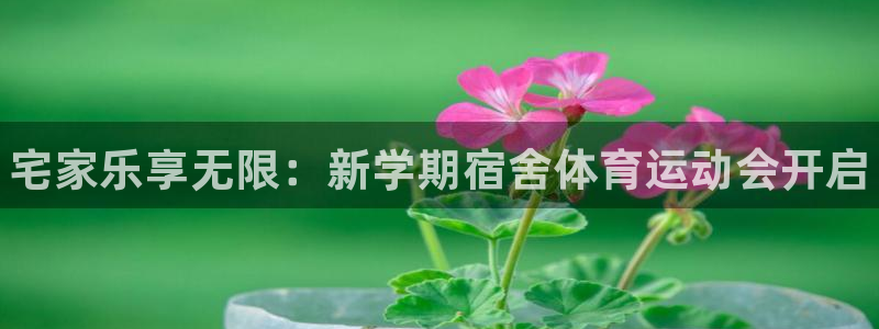 3377体育官网下载娱乐：宅家乐享无限：新学期宿舍体