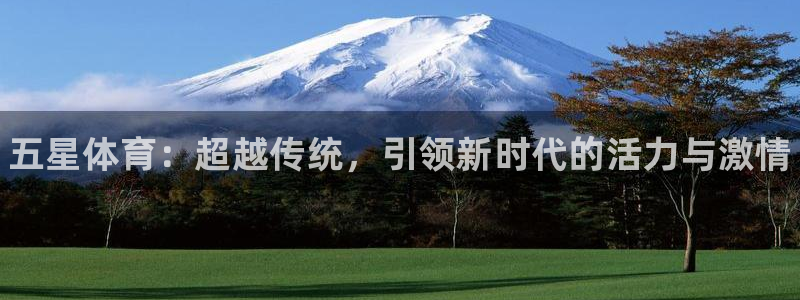 3377体育官网下载平台：五星体育：超越传统，引领新