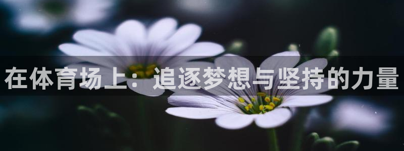 3377体育官网下载招商电话地址查询：在体育场上：追