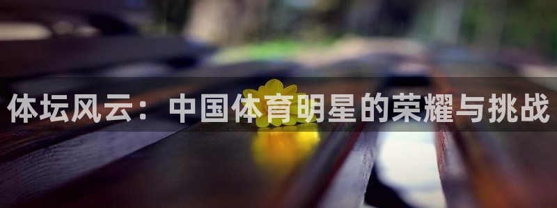 3377体育官方正版app科技：体坛风云：中国体育明