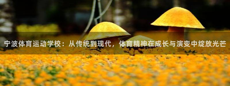 3377体育官网下载招商电话是多少：宁波体育运动学校