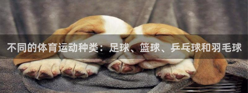 3377体育官网下载平台注册要钱吗安全吗：不同的体育运动种类