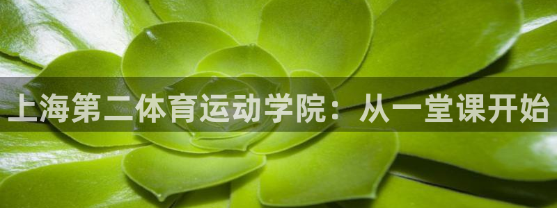 3377体育官网下载平台注册要钱吗：上海第二体育运动学院：从