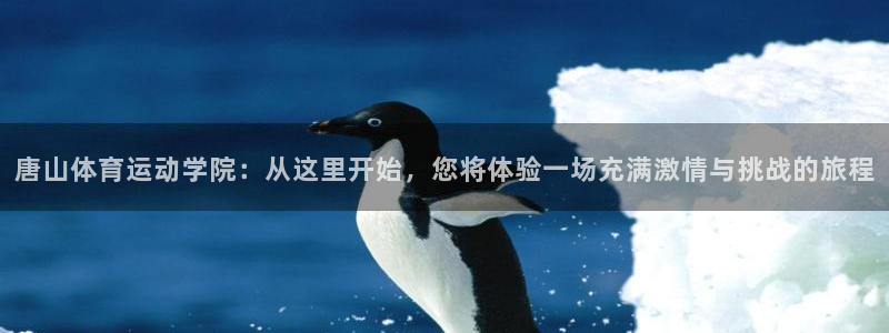3377体育官网下载招商电话号码查询是多少