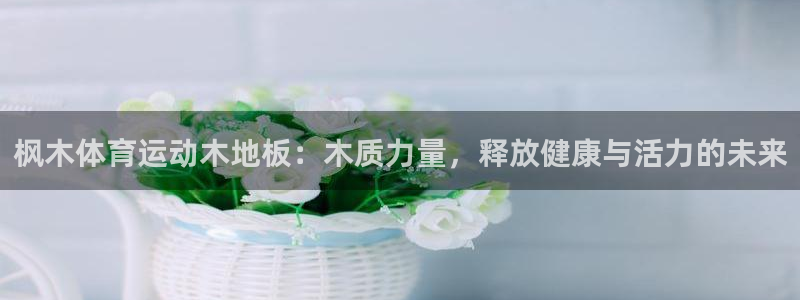 3377体育官方正版app集团E.ON：枫木体育运动