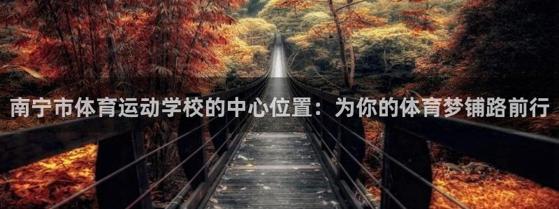 3377体育官方集团官网：南宁市体育运动学校的中心位置：为你