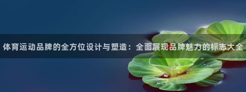 3377体育官方正版app集团logo：体育运动品牌