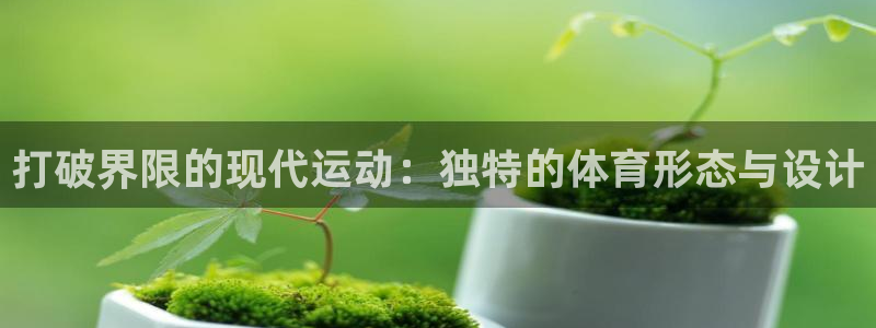 3377体育官方正版app集团E.ON：打破界限的现