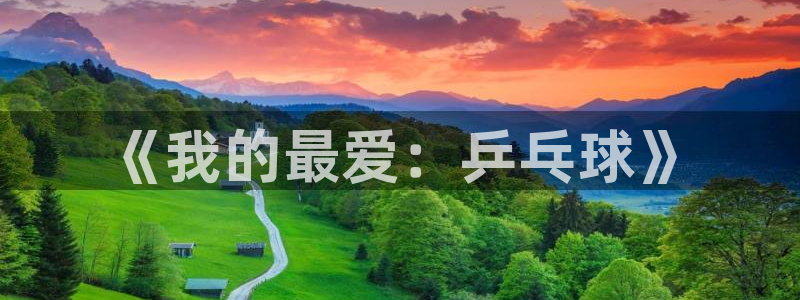 3377体育官网下载招商电话地址：《我的最爱：乒乓球》