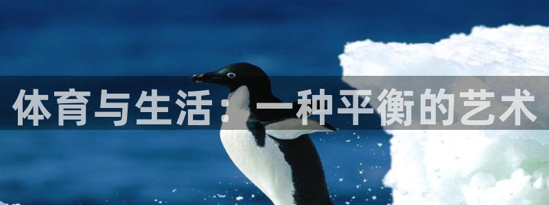 3377体育官网下载招商电话号码查询：体育与生活：一种平衡的