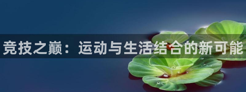 3377体育官方正版app娱乐网站：竞技之巅：运动与