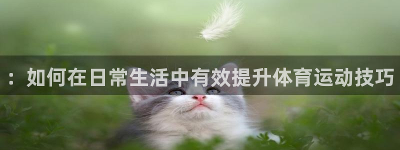 德国3377体育官方正版app集团：：如何在日常生活