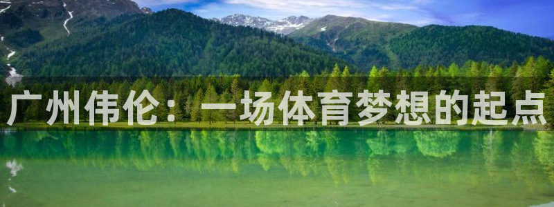 3377体育官方正版app新能源：广州伟伦：一场体育