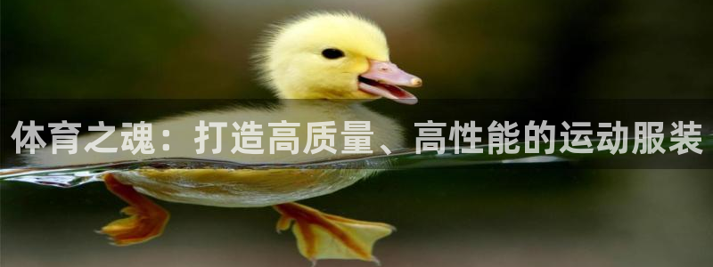 3377体育官方正版app神州：体育之魂：打造高质量