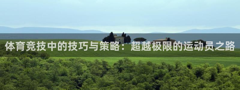 3377体育官方正版app集团官网首页：体育竞技中的