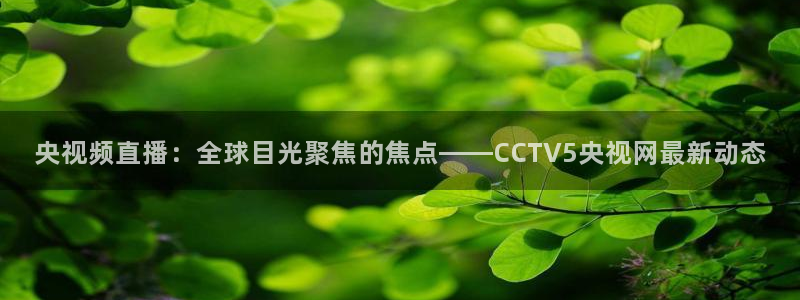 919体育直播下载：央视频直播：全球目光聚焦的焦点——CCTV5央视网最新动态