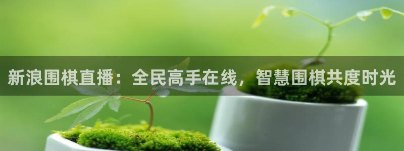 919体育直播安卓版：新浪围棋直播：全民高手在线，智慧围棋共度时光