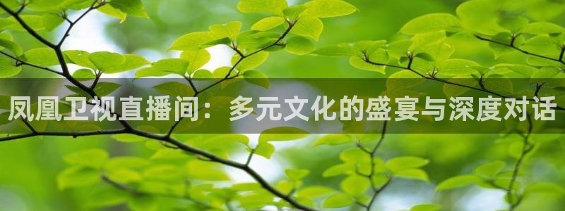 919直播官网：凤凰卫视直播间：多元文化的盛宴与深度对话