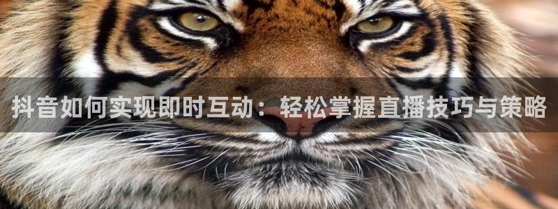 919nba直播篮球比赛：抖音如何实现即时互动：轻松掌握直播技巧与策略