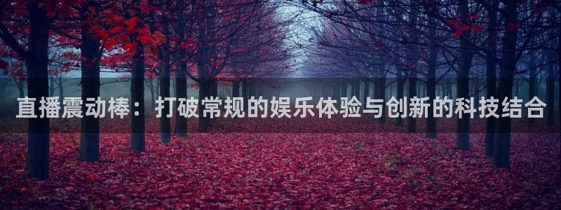 919篮球直播