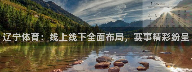919直播看球 篮球比赛：辽宁体育：线上线下全面布局，赛事精彩纷呈