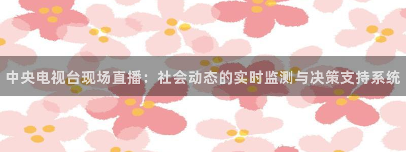 919看球软件：中央电视台现场直播：社会动态的实时监测与决策支持系统
