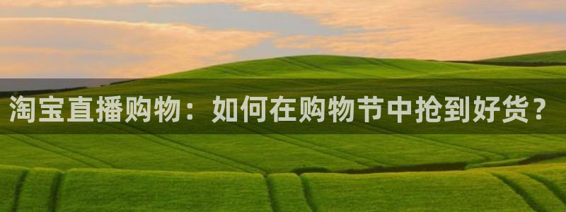 919足球直播 01篮球直播：淘宝直播购物：如何在购物节中抢到好货？