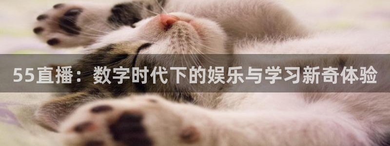 919体育专业直播平台：55直播：数字时代下的娱乐与学习新奇体验