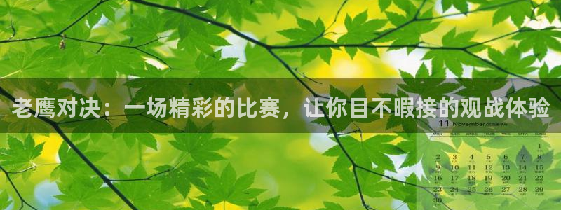 919直播在线看球：老鹰对决：一场精彩的比赛，让你目不暇接的观战体验