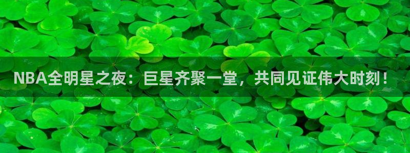 919直播在线看球：NBA全明星之夜：巨星齐聚一堂，共同见证伟大时刻！