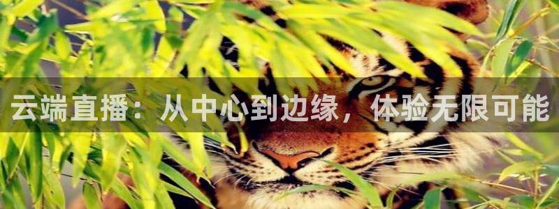 体育直播919：云端直播：从中心到边缘，体验无限可能