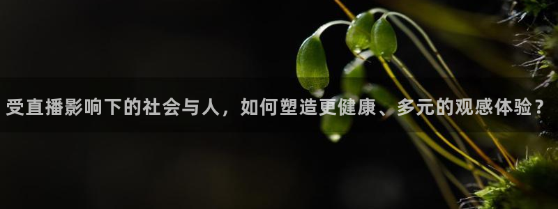 919看球直播app：受直播影响下的社会与人，如何塑造更健康、多元的观感体验？