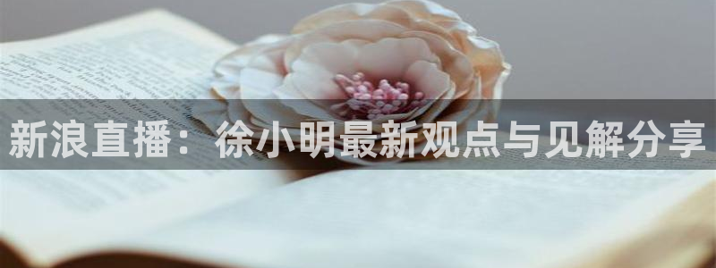 919看球直播app：新浪直播：徐小明最新观点与见解分享