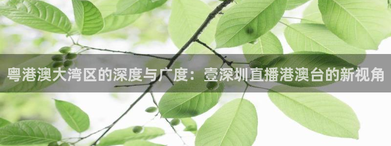 919看球直播app：粤港澳大湾区的深度与广度：壹深圳直播港澳台的新视角