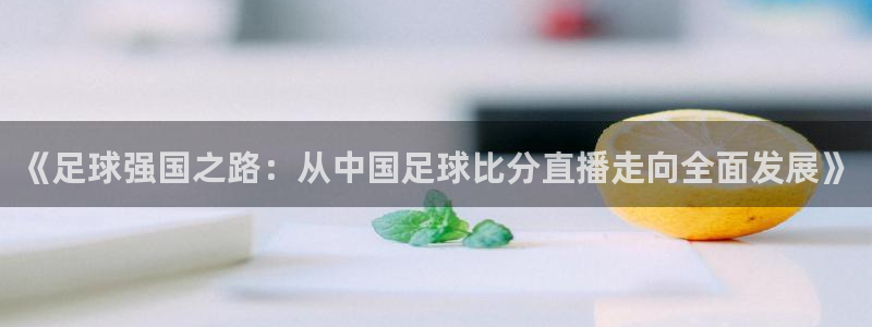 919体育直播app：《足球强国之路：从中国足球比分直播走向全面发展》